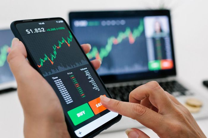 Crypto expert CALV!N from Purebase Studios says buying and holding will give newbies higher yields than trading