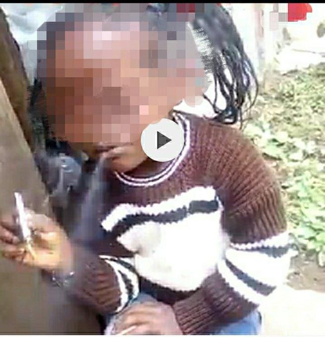 Police issue warning after video of child endorsing Wajackoya goes viral