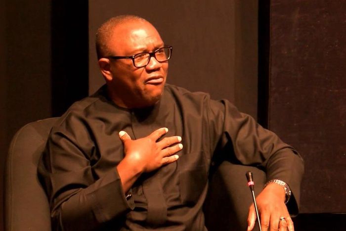Adams Oshiomhole thinks Peter Obi will serve the People's Democratic Party (PDP) no good after the 2019 Presidential polls. [Daily Advent Nigeria]