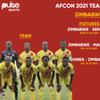 Zimbabwe– Team guide, key players and full fixtures