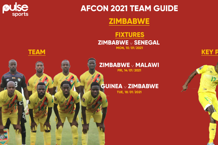 Zimbabwe– Team guide, key players and full fixtures