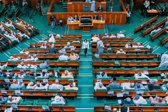 Take urgent steps towards ritual killings in Nigeria - Reps to Police IG (BusinessDay)