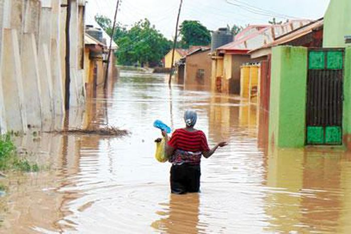 Flood in Adamawa