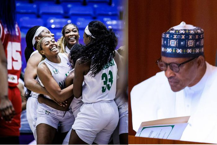 NBBF issues apology to President Buhari as Federal government lifts ban on basketball