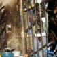 Prison congestion seem one of the problems faced in Nigeria. The government appear to have no solution as more people are still being held in jail without trial.