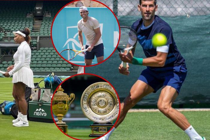 The biggest names in tennis face contrasting fortunes in this year's Wimbledon