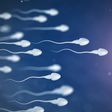 A watery sperm is not healthy [Pulseclinic]