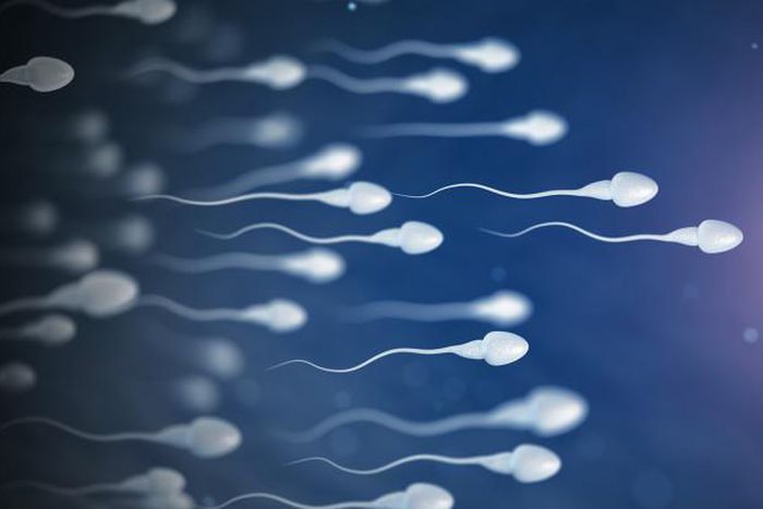 A watery sperm is not healthy [Pulseclinic]