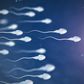 A watery sperm is not healthy [Pulseclinic]