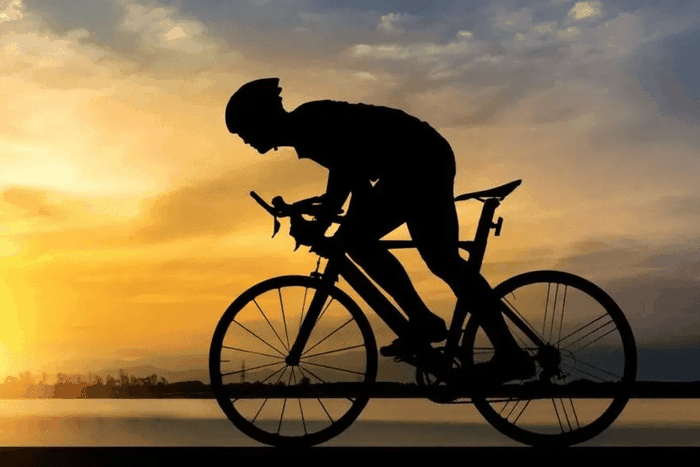 Adamawa LG donates 75 bicycles to junior staff