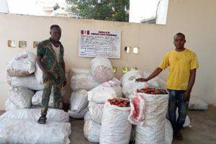 Suspects arrested by the anti-narcotic officers of the National Drug Law Enforcement Agency NDLEA