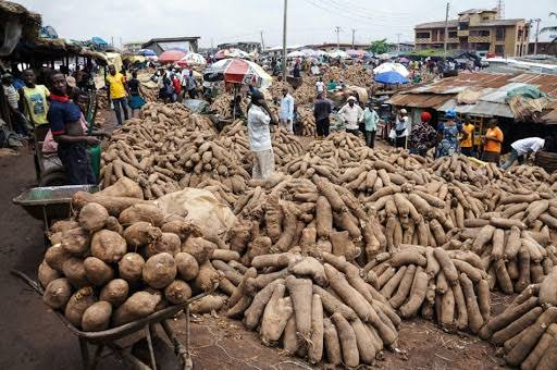 Food basket of the nation (Benue state)