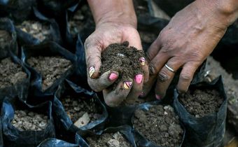 A local farmer prepares the soil to sow guaimaro tree seeds at a small farm in the Colombian foothill town of Dibulla, in a project to fight deforestation and provide abundant, nutritious fruit
