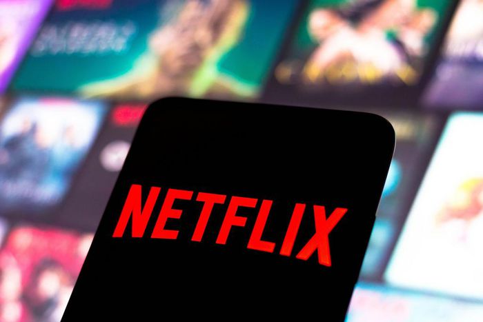 The Netflix logo is displayed on a smartphone screen.