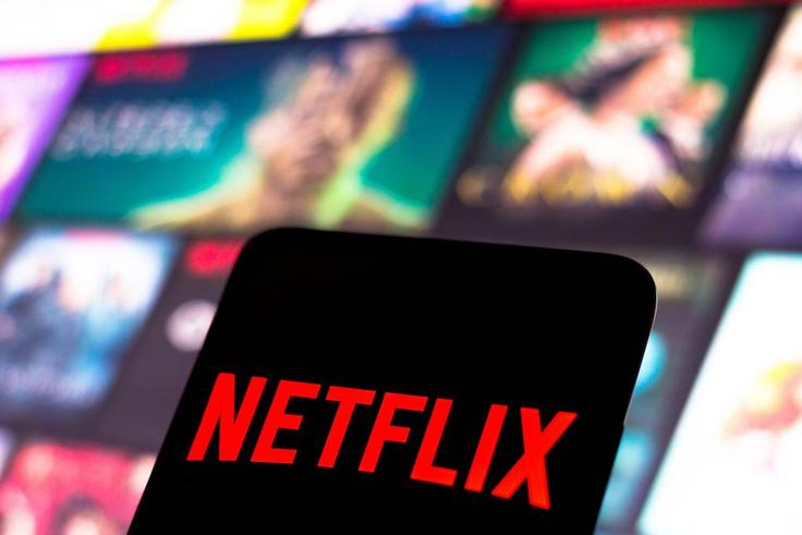 The Netflix logo is displayed on a smartphone screen.