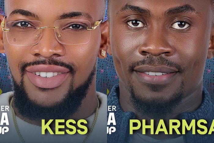 Kess and Pharmsavi are the latest housemates to be evicted [bigbronaija]