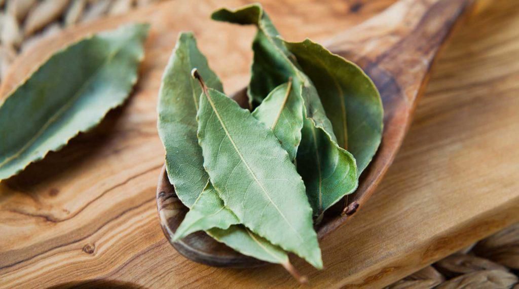 Bay leaves