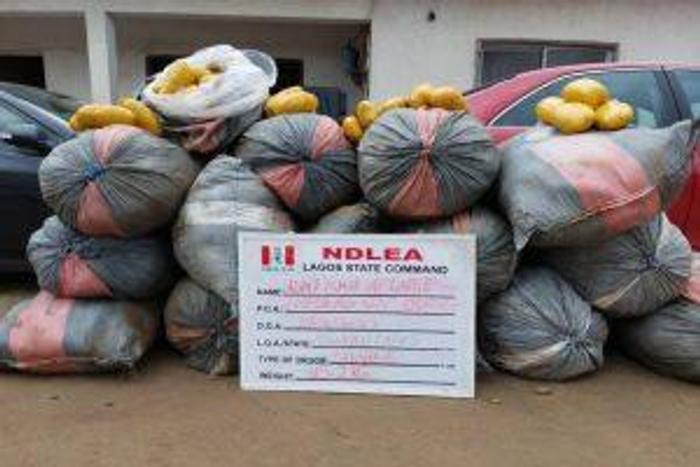 Drugs seized during the operations of the NDLEA. [NAN]
