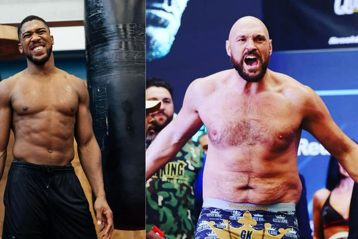 Anthony Joshua accepts all terms to fight Tyson Fury