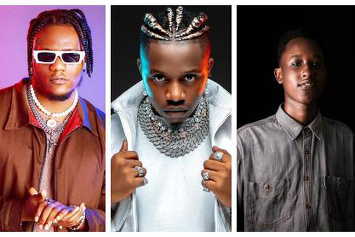 Pheelz, Rayvanny, Theecember