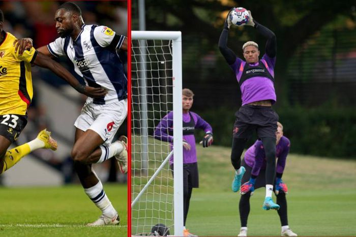Okoye was missing but Ajayi was in action as West Brom played out a 1-1 draw against Watford