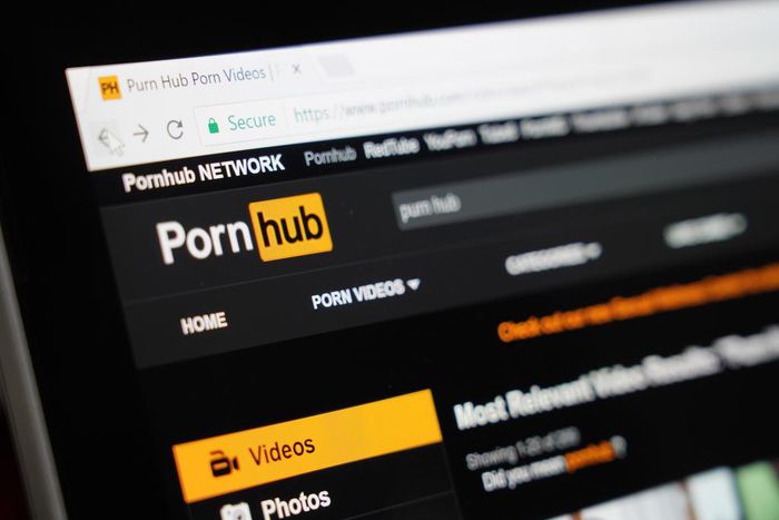 Pornhub, a popular pornography site, is one of the most visited websites in the US.