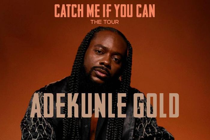 Adekunle Gold Catch Me If You Can Tour