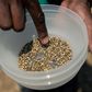 A man selects and prepares hemp seeds for planting during the sowing of the first industrial hemp crop in Zimbabwe at the Harare Central Prison in the capital, on October 11, 2019. (Photo by JEKESAI NJIKIZANA/AFP via Getty Images)