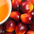 Kernel oil is different from red palm oil