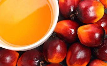 Kernel oil is different from red palm oil