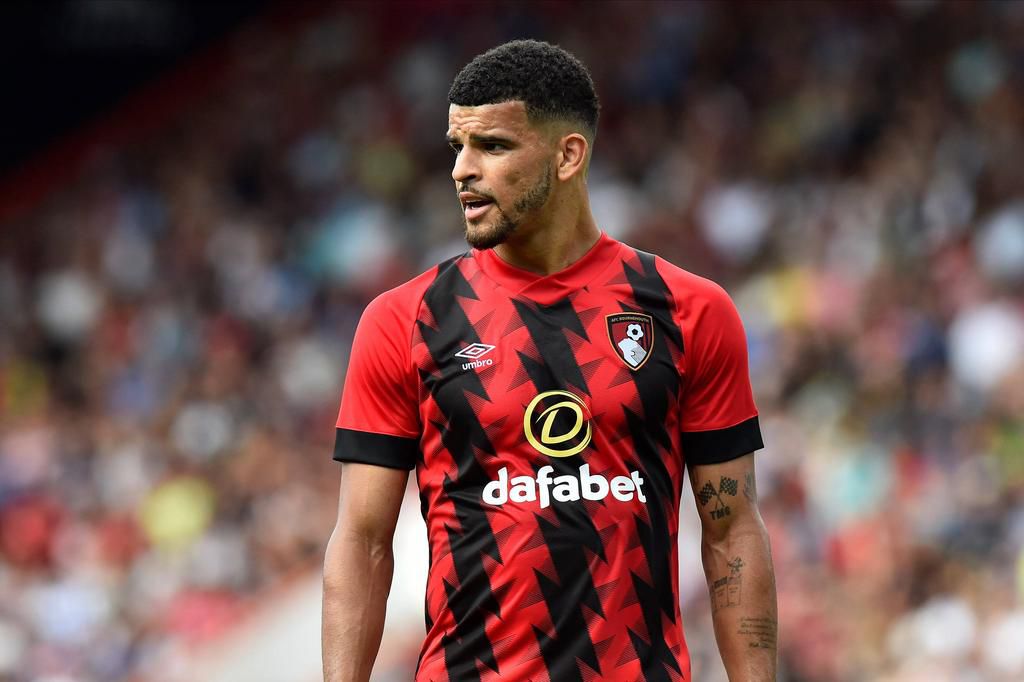 Bournemouth's goalscoring burden will rest on the shoulder of Dominic Solanke