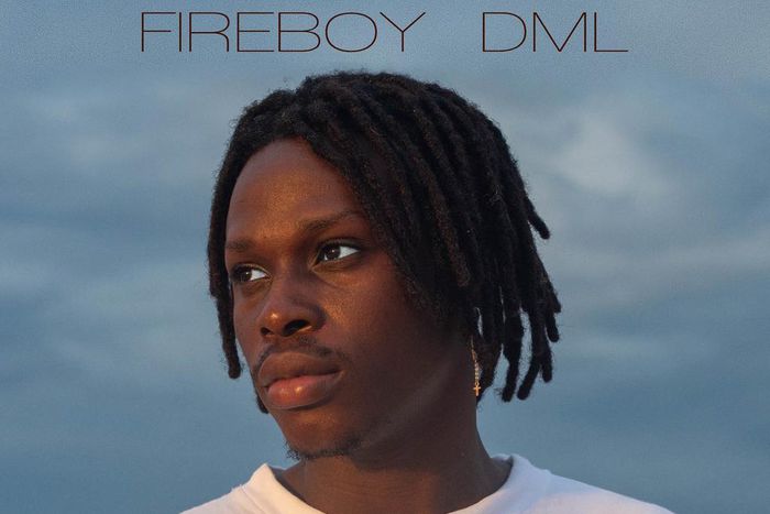 Fireboy releases debut album, 'Laughter, Tears and Goosebumps.' (Twitter/FireboyDML)