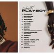 Fireboy - Playboy Album Tracklist