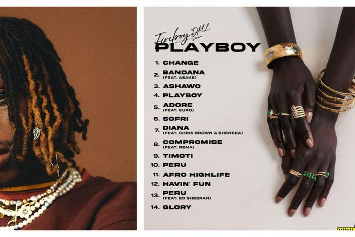 Fireboy - Playboy Album Tracklist