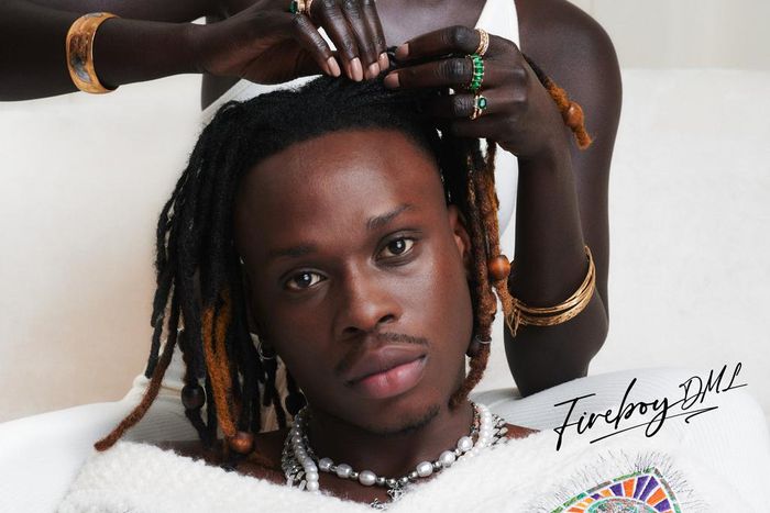 Fireboy - Playboy Album Art