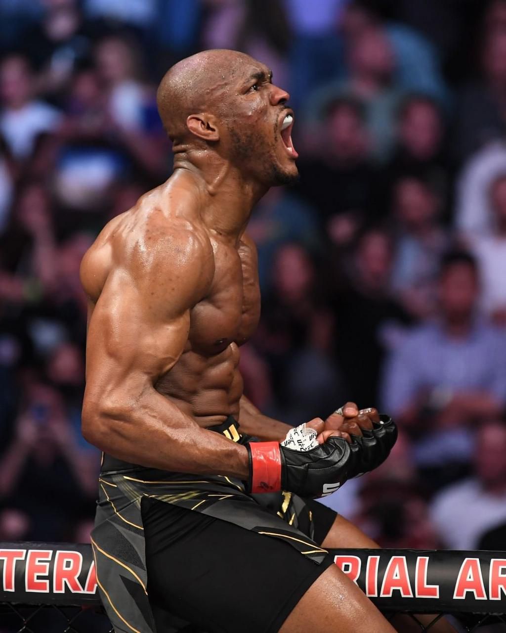 Kamaru Usman (Instagram/UFC)