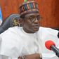 Yobe state Governor, Mai-Mala Buni. [Punch]