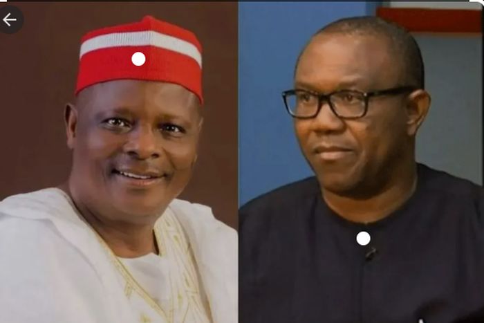 Rabiu Kwankwaso and Peter Obi (Vanguard)