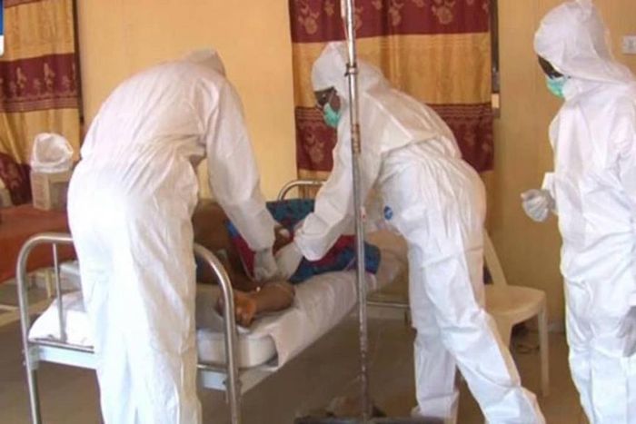 Lassa fever (DailyPostNG)