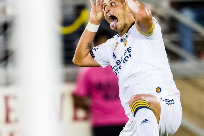 Javier Hernandez celebrated his goals like a clown to mock San Jose fans.