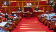 Nigerian Senate [Tope Brown]