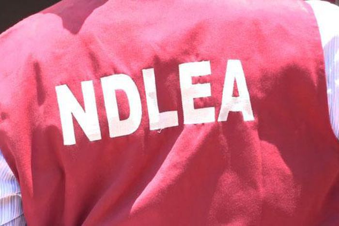 NDLEA arraigns man for peddling cocaine, molly, meth