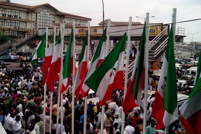 Flags of the People's Democratic Party (PDP)