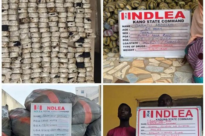 Crystal Meth seized by the NDLEA. [Twitter:NDLEA]