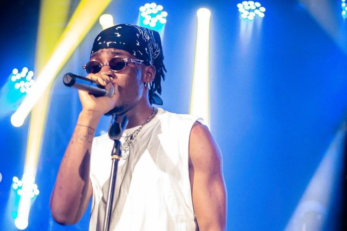 Nigerian singer Joeboy bashes guitarist, sound technicians after difficult performance in Nairobi at the Afro Jam Festival