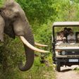 South Africa's tourism sector is experiencing a shift from foreigners to domestic tourists