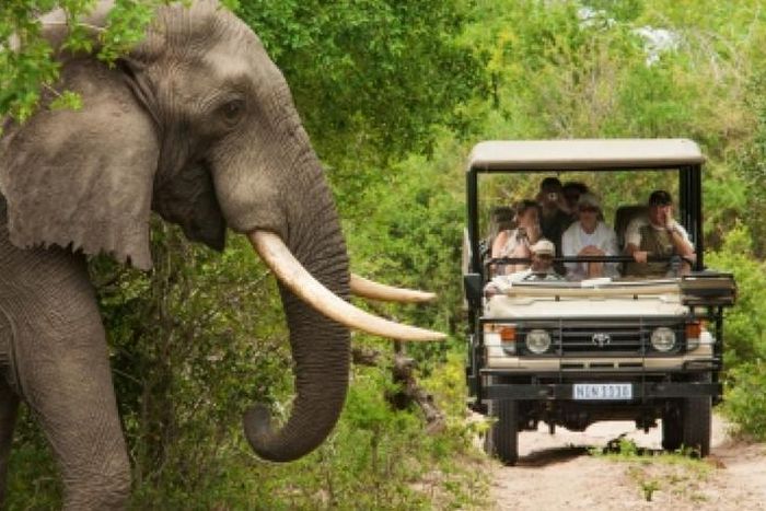 South Africa's tourism sector is experiencing a shift from foreigners to domestic tourists