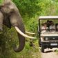 South Africa's tourism sector is experiencing a shift from foreigners to domestic tourists