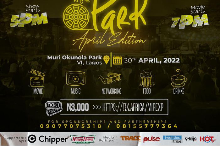 The movie in the Park Experience