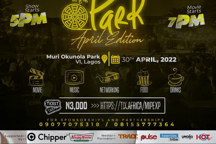 The movie in the Park Experience